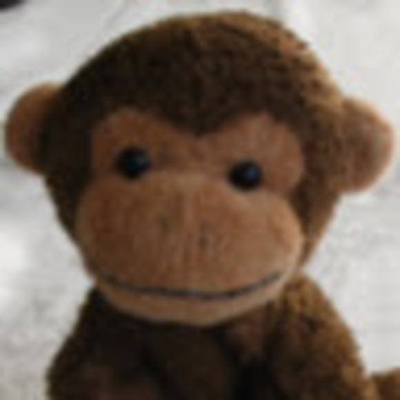 Meet your Posher, Chris - Picture 1 of 1